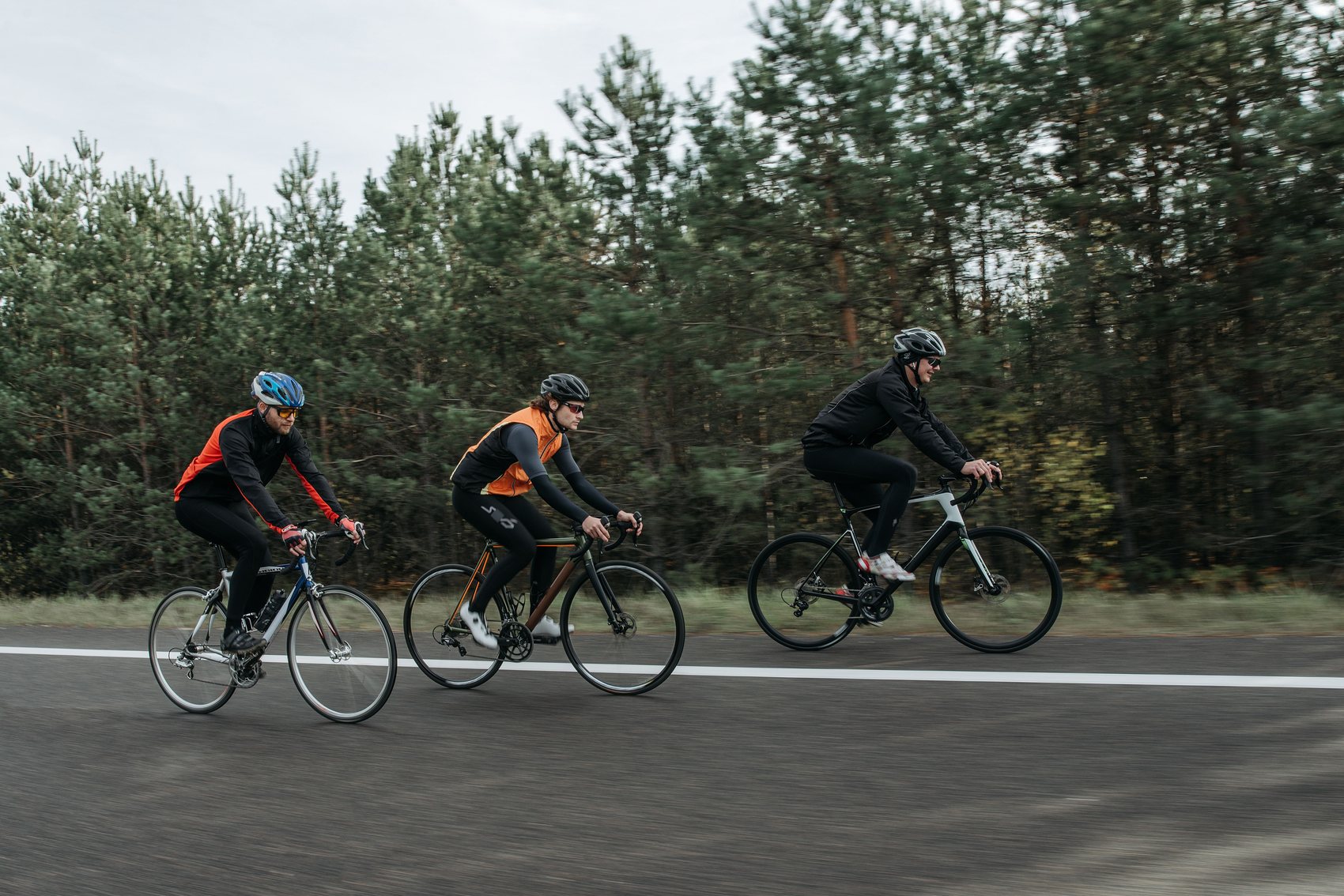 Grupa rowerzystów na trasie przy lesie