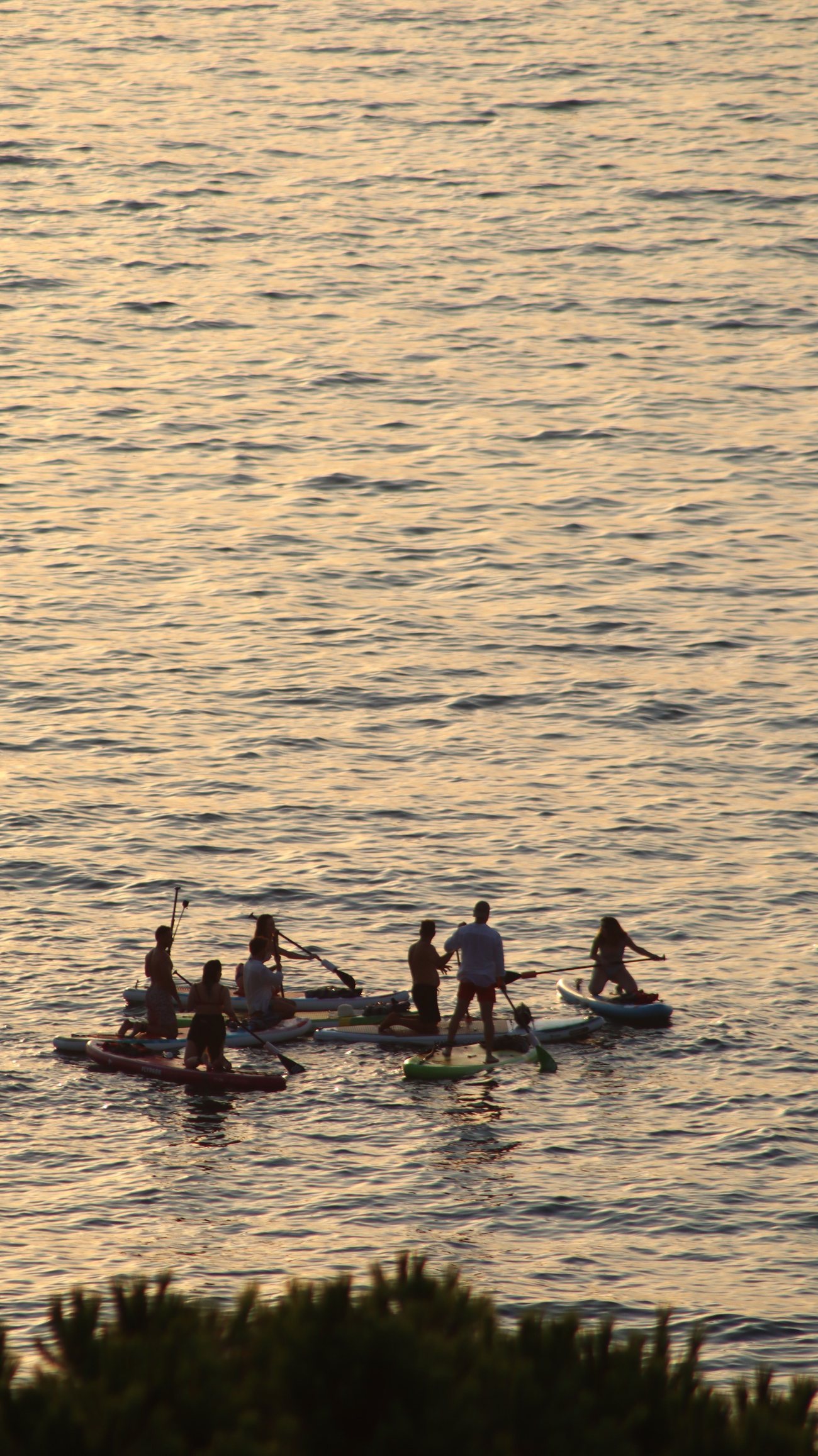 Grupa na paddleboardach podczas zachodu słońca